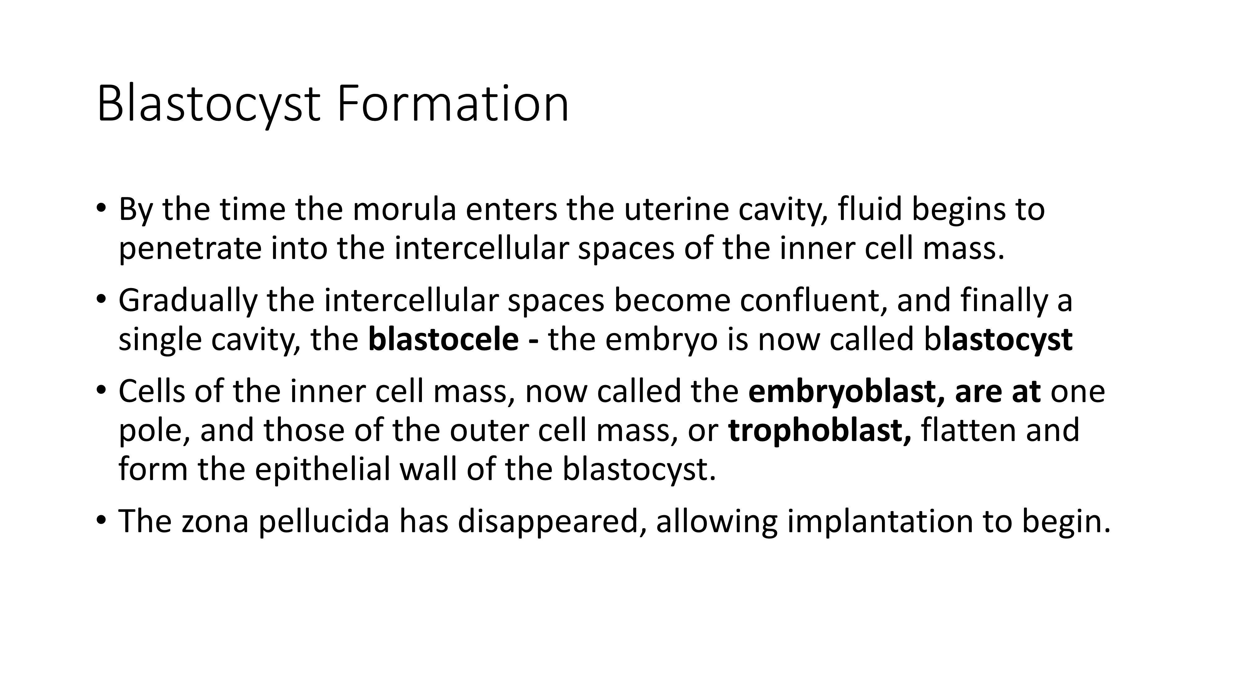 No preview available